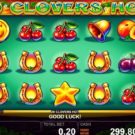 20 Clovers Hot Slot