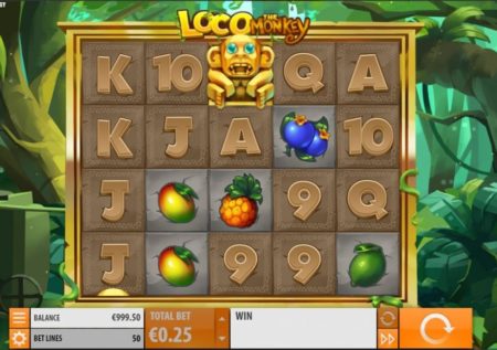 Loco the Monkey Slot