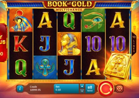 Book of Gold: Multichance Slot