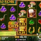 Wild Wild Riches Slot
