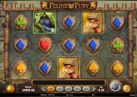 Feline Fury Slot