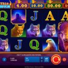 Buffalo Power: Hold and Win Slot