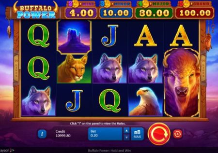Buffalo Power: Hold and Win Slot