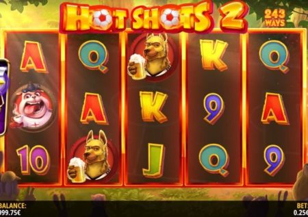 Hot Shots 2