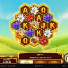 The Hive Slot