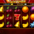10 Wild Pumpkin Slot