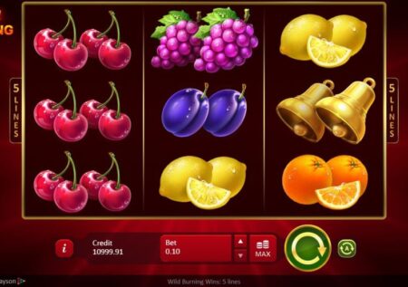 Wild Burning Wins: 5 lines Slot