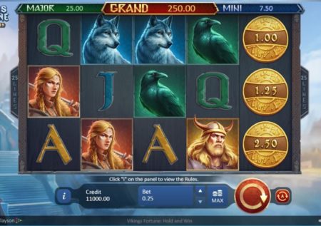 Vikings Fortune: Hold and Win