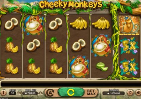 Cheeky Monkeys