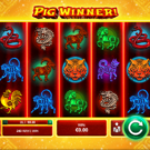 Pig Winner Slot