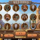 Wild Rodeo