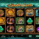 Exotic Cats Slot