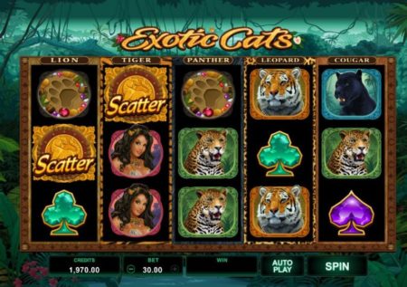 Exotic Cats Slot
