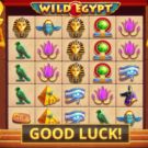 Wild Egypt
