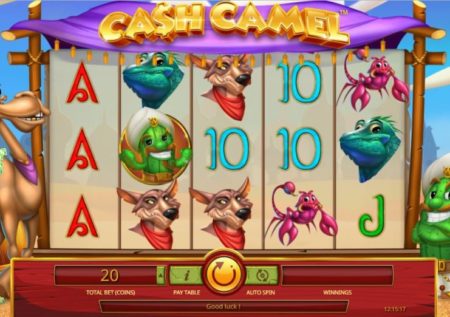 Cash Camel Slot