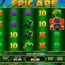 Epic Ape