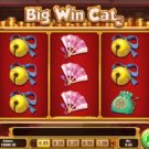 Big Win Cat Slot