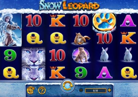 Snow Leopard