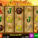 Book Of Crazy Chicken