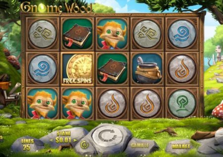 Gnome Wood Slot