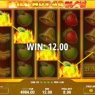 Wild Hot 40 Blow Slot