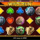 Wild Run
