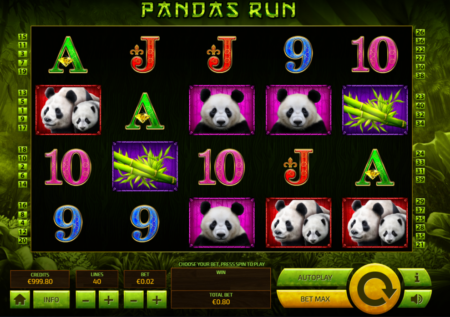 Panda’s Run