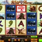 Wild Sierra