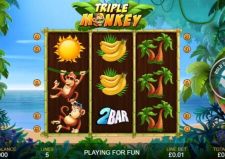 Triple Monkey
