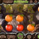 Wild Cherries Slot