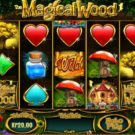 The Magical Wood