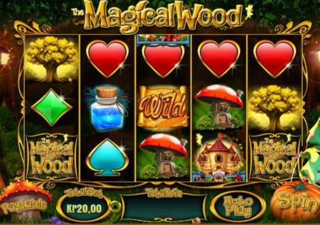 The Magical Wood