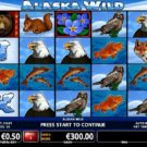 Alaska Wild