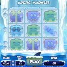 Arctic Madness