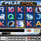 Polar Fox