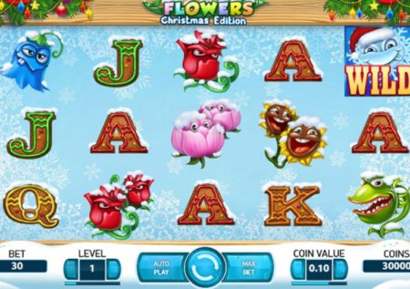 Flowers Christmas Edition Slot