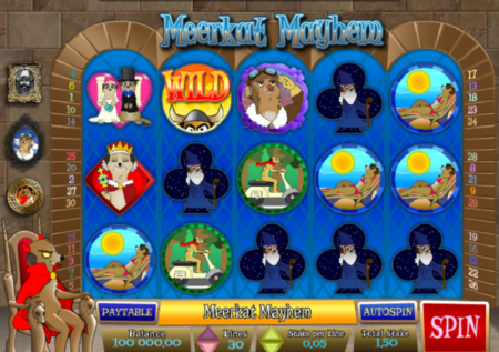 Meerkat Mayhem