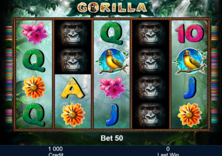 Gorilla