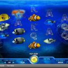 Pacific Paradise Slot