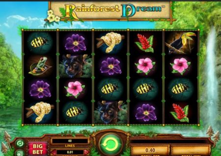 Rainforest Dream Slot