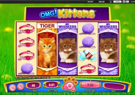 OMG! Kittens