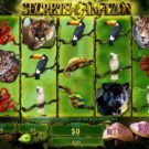 Secrets of the Amazon Slot