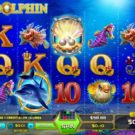 Wild Dolphin Slot