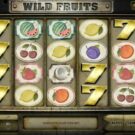 Wild Fruits Slot