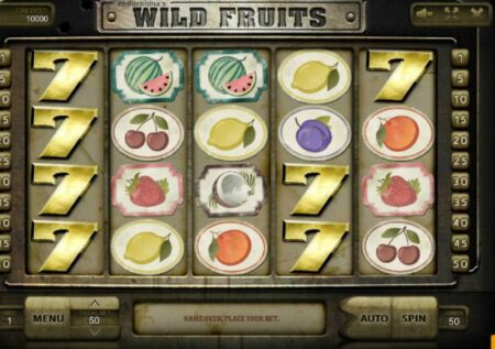 Wild Fruits Slot