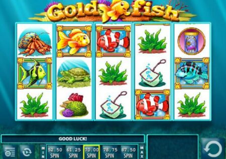 Goldfish