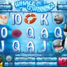 Whale O’Winnings Slot