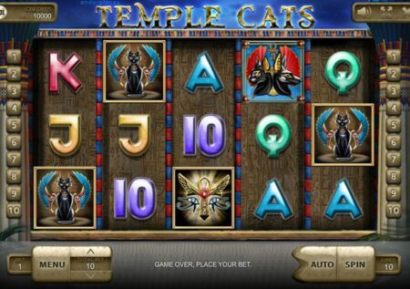 Temple Cats Slot
