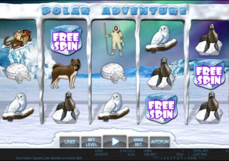 Polar Adventure
