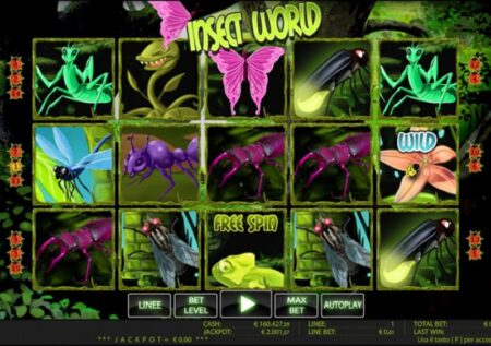 Insect World
